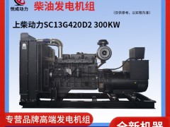 300KW上柴動力柴油發電機組-SC13G420D2視頻解說